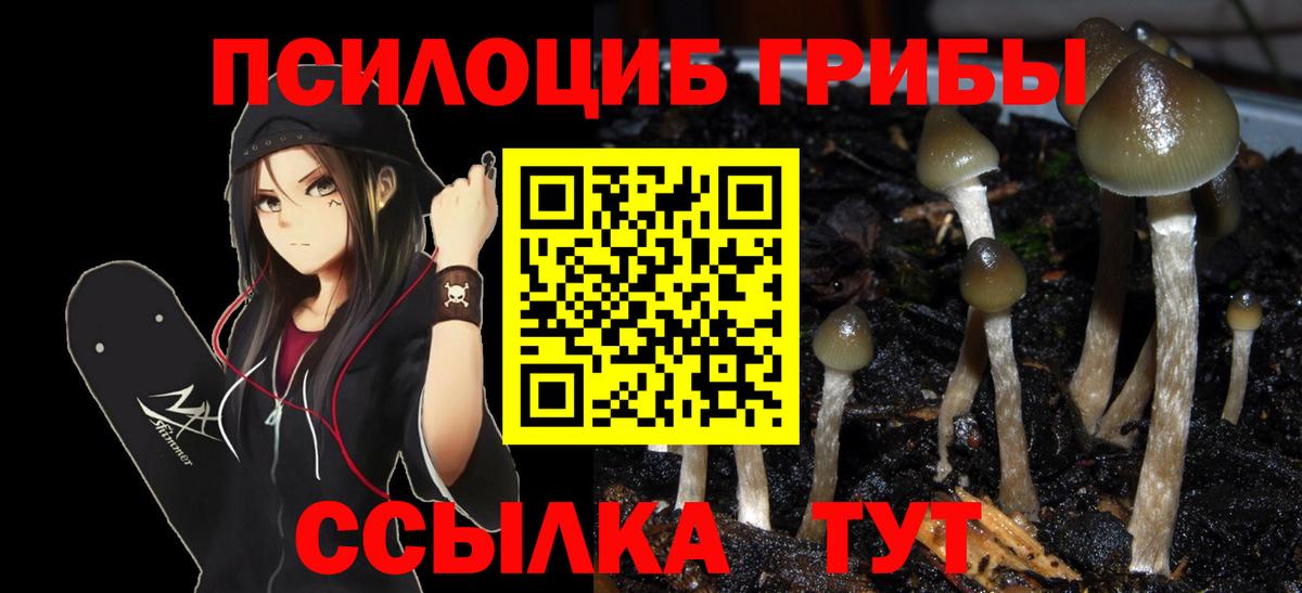 Черкесск  Галлюциногенные грибы мухоморы  Вход с VPN 